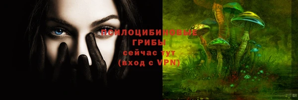 бошки Армянск