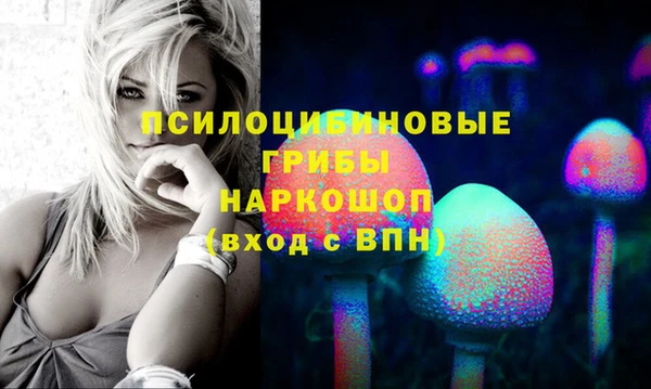 стаф Арсеньев