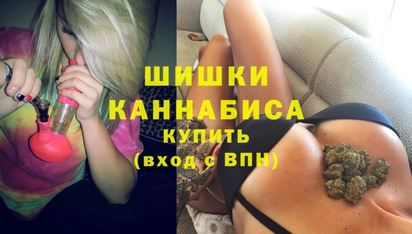 стаф Арсеньев