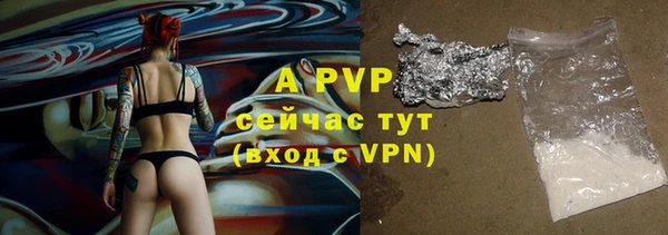 стаф Арсеньев